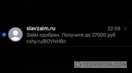 
                            Сайт Slavzaim.ru (СлавЗайм)
                         - отзывы