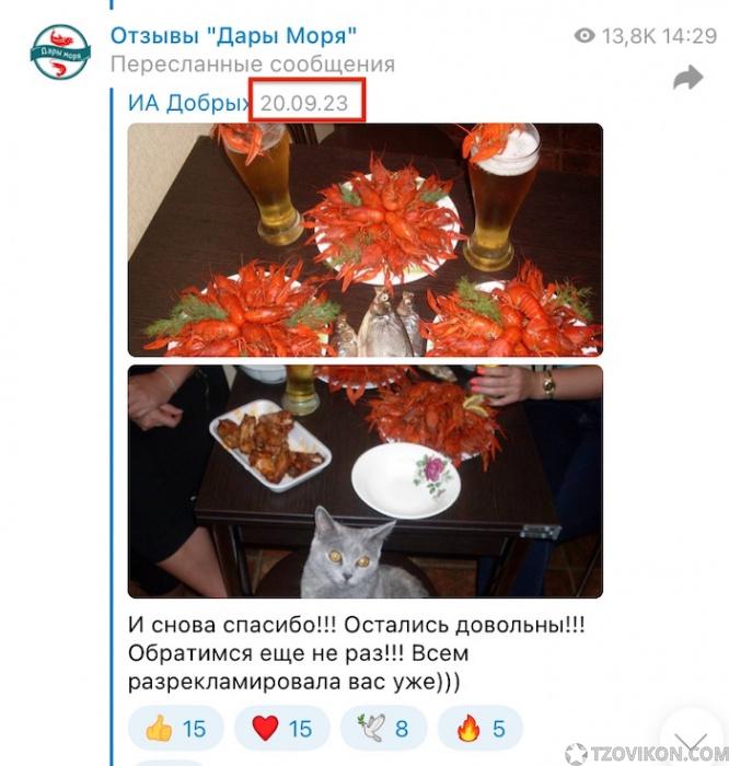 
                            Telegram-магазин &laquo;Дары Моря&raquo; (Евгений Матросов)
                         - отзывы