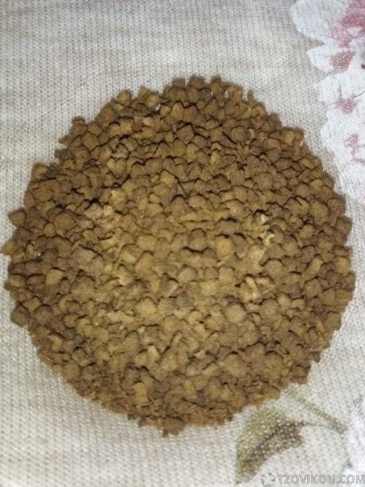 
                            Кофе сублимированный растворимый Coffee perfect taste
                         - отзывы